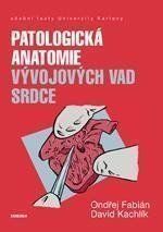 Patologická antomie vývojových vad srdce Patologická antomie vývojových vad srdce