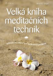 Velká kniha meditačních technik - Jednoduchá cvičení pro každodenní problémy Velká kniha meditačních technik - Jednoduchá cvičení pro každodenní problémy