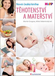 Těhotenství a mateřství - Miloš Velemínský ml.,Martin Gregora - Rodina a dítě Těhotenství a mateřství