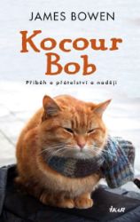 Kocour Bob Kocour Bob