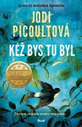 Kéž bys tu byl - Jodi Picoult - Romány Kéž bys tu byl