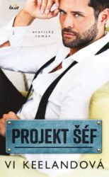 Projekt šéf Projekt šéf