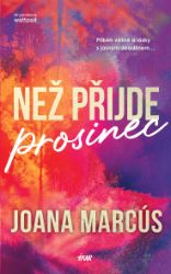 Než přijde prosinec - Joana Marcús Sastre - Romány pro ženy Než přijde prosinec