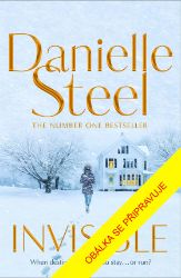 Neviditelná - Danielle Steel - Romány pro ženy Neviditelná