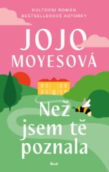 Než jsem tě poznala - Jojo Moyes - Romány Než jsem tě poznala