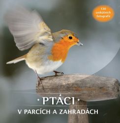 Ptáci v parcích a zahradách: 130 unikátních fotografií - kolektiv autorů,Jaap Schelvis,Arno Ten Hoeve - Dětské knihy o přírodě Ptáci v parcích a zahradách: 130 unikátních fotografií