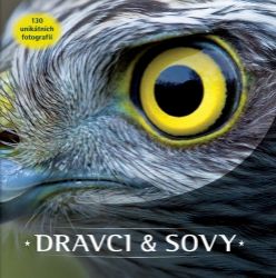 Dravci a sovy: 150 unikátních fotografií - kolektiv autorů,Jaap Schelvis,Arno Ten Hoeve - Knihy o zvířatech pro děti Dravci a sovy: 150 unikátních fotografií