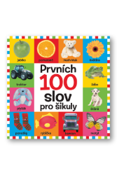 Prvních 100 slov pro šikuly - Naučné knihy pro nejmenší Prvních 100 slov pro šikuly