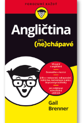 Angličtina pro nechápavé - Gail Abel Brenner - Angličtina pro samouky Angličtina pro nechápavé