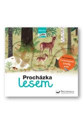 Procházka lesem - následuj cestu Procházka lesem - následuj cestu