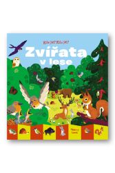 Kde jsi? Kdo jsi? Zvířata v lese - Dětské knížky poznávání zvířat Kde jsi? Kdo jsi? Zvířata v lese
