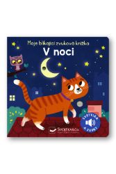 Moje blikající zvuková knížka V noci - Maria Höck - Zvuková leporela Moje blikající zvuková knížka V noci