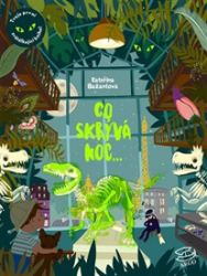 Co skrývá noc Co skrývá noc