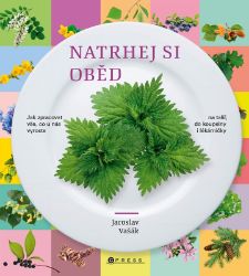 Natrhej si oběd - Jaroslav Vašák - Vegetariánské, veganské kuchařky Natrhej si oběd