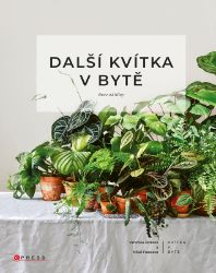 Další kvítka v bytě: Ruce od hlíny - Veronika Ježková,Nikol Francová - Bydlení Další kvítka v bytě: Ruce od hlíny