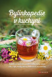 Bylinkopedie v kuchyni - Bylinkové polévky, pomazánky, octy, oleje, soli, čaje, medy, liké - Martin Chvapil - Výživa a zdravý životní styl Bylinkopedie v kuchyni
