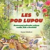 Les pod lupou - Zuzana Šabatková - Botanika Les pod lupou