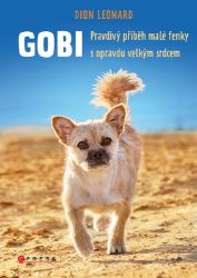 Gobi Gobi