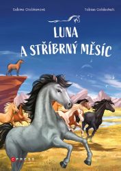 Luna a stříbrný měsíc - Sabine Giebken - Detektivky pro děti Luna a stříbrný měsíc