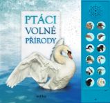 Ptáci volné přírody - Caz Buckingham,Andrea Pinnington - Dětské knihy o přírodě Ptáci volné přírody