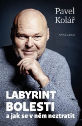 Labyrint bolesti - Pavel Kolář - Medicína a lékařství Labyrint bolesti