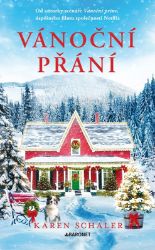 Vánoční přání - Karen Schaler - Romány pro ženy Vánoční přání