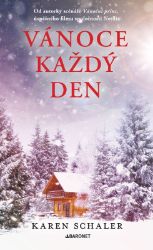 Vánoce každý den - Karen Schaler - Romány pro ženy Vánoce každý den