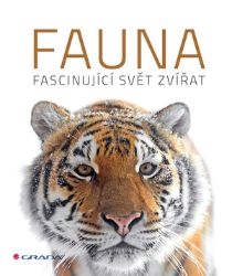 Fauna Fauna