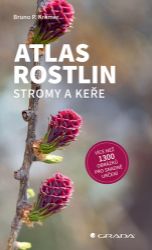 Atlas rostlin - Stromy a keře - Bruno P. Kremer - Botanika Atlas rostlin - Stromy a keře