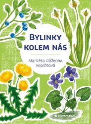 Bylinky kolem nás - Botanika Bylinky kolem nás