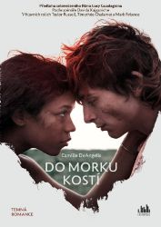 Do morku kostí - Camille DeAngelis - Young Adult Do morku kostí