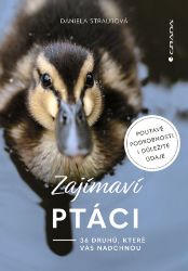 Zajímaví ptáci Zajímaví ptáci