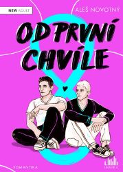 Od první chvíle - Aleš Novotný - Česká a slovenská beletrie Od první chvíle
