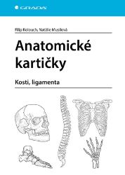 Anatomické kartičky - Filip Kolouch,Natálie Musilová - Medicína a lékařství Anatomické kartičky