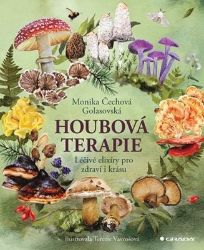 Houbová terapie