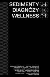 Sedimenty diagnózy wellness Sedimenty diagnózy wellness