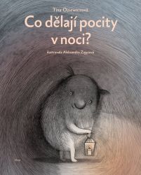 Co dělají pocity v noci? - Tina Oziewicz - Člověk a lidské tělo pro děti Co dělají pocity v noci?