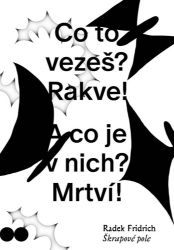 Škrapové pole - Radek Fridrich - Poezie a básně Škrapové pole