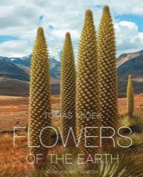 Flowers of the Earth Flowers of the Earth