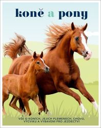 Koně a pony - Vše o koních, jejich plemenech, chovu, výcviku a vybavení pro jezdectví - Caroline Stamps - Koně Koně a pony - Vše o koních, jejich plemenech, chovu, výcviku a vybavení pro jezdectví