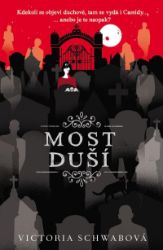 Most duší (Cassidy Blake 3) Most duší (Cassidy Blake 3)