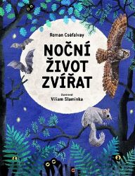 Noční život zvířat Noční život zvířat