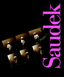 Saudek - Jan Saudek,Daniela Mrázková - Fotografie Saudek