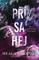 Přísahej - Meagan Brandy - Romány pro ženy Přísahej