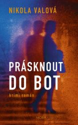 Prásknout do bot - Nikola Valová - České a slovenské detektivky Prásknout do bot