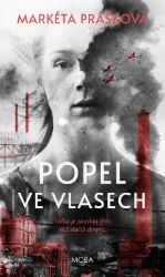 Popel ve vlasech