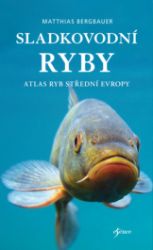 Sladkovodní ryby - Matthias Bergbauer - Rybaření Sladkovodní ryby