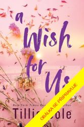 Píseň pro tebe - Tillie Cole - Young Adult A Wish for Us