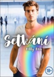 Setkání - Petty Ears - Romány pro ženy Setkání