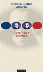 Brechtova milenka - Jacques-Pierre Amette - Světová beletrie Brechtova milenka